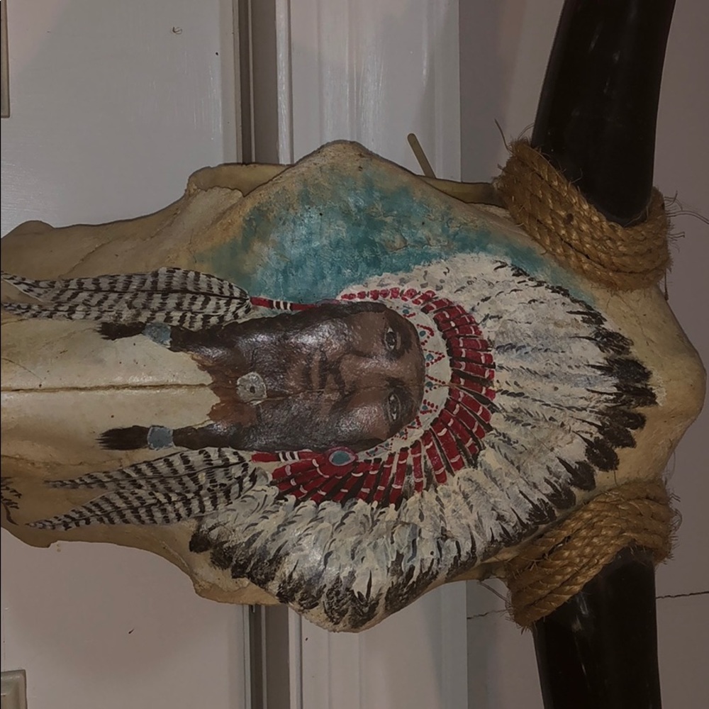 Texas Long Horn - Picture 2 of 3